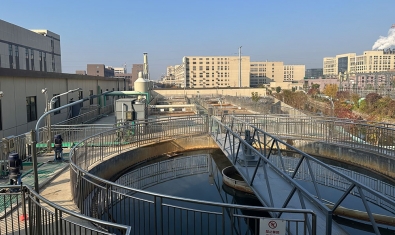 為地球守護(hù)一灣清水